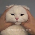 Avatar Esmeralda Patiño