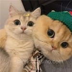 Avatar Yadira Duarte